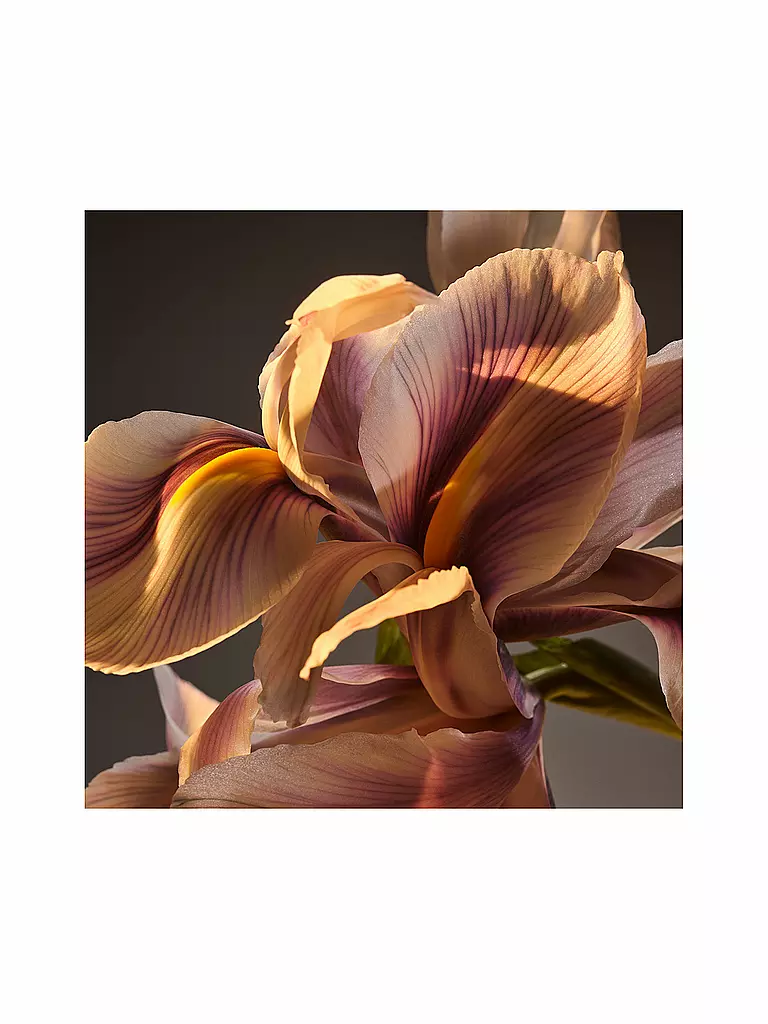 BOSS | Bottled Parfum 150ml | Senza colore