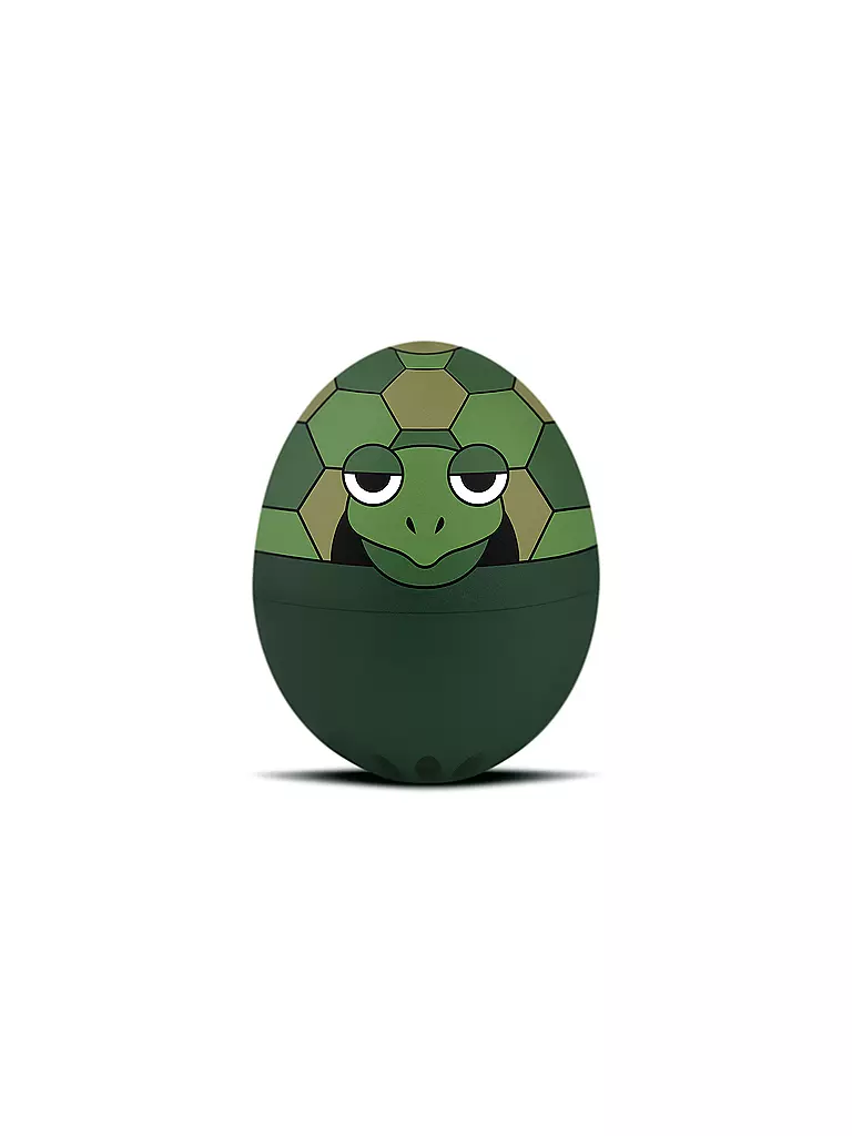 BRAINSTREAM | Timer da cucina - PiepiEi Meraviglia della natura selvaggia 3 livelli di cottura Tartaruga | Verde