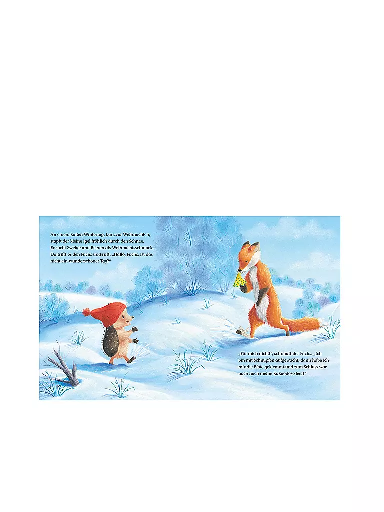 BRUNNEN VERLAG | Buch - Der kleine Igel und die abenteuerliche Suche | 