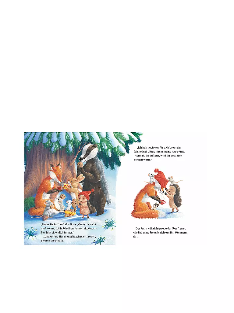 BRUNNEN VERLAG | Buch - Der kleine Igel und die abenteuerliche Suche | 