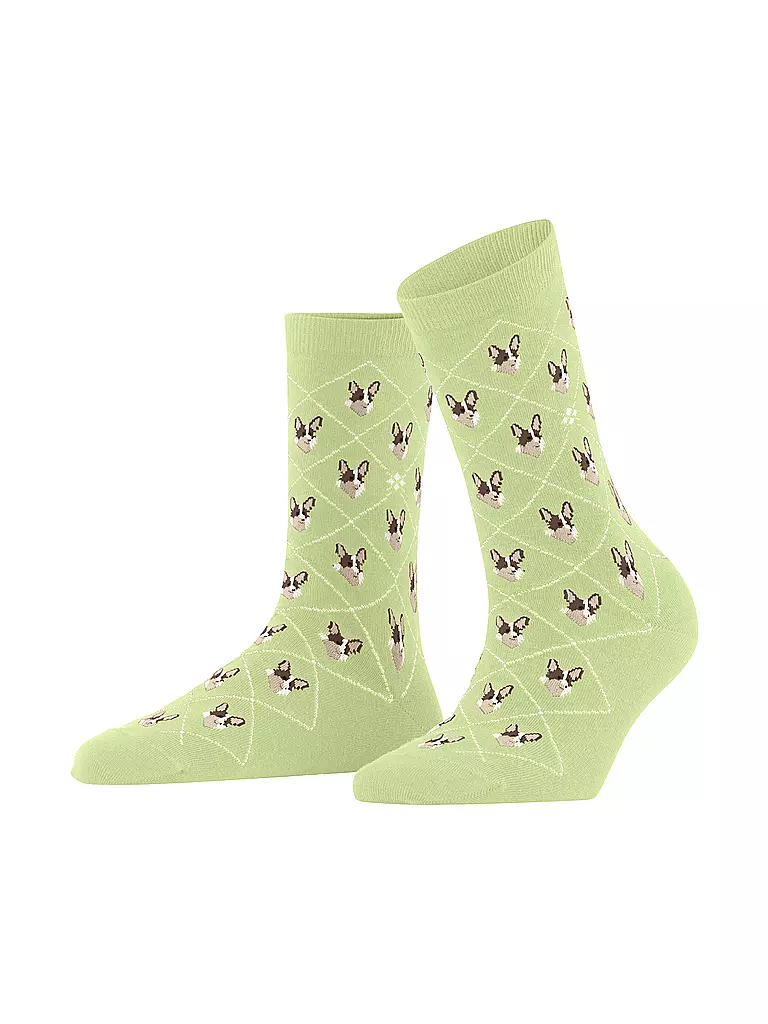 BURLINGTON | Socken Gr 36-41 lemon | Verde chiaro