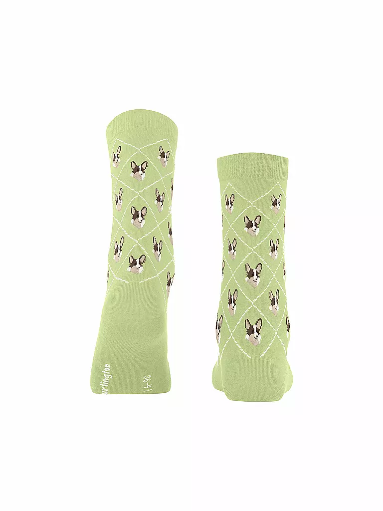 BURLINGTON | Socken Gr 36-41 lemon | Verde chiaro