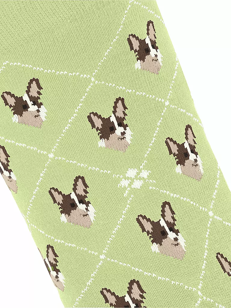 BURLINGTON | Socken Gr 36-41 lemon | Verde chiaro