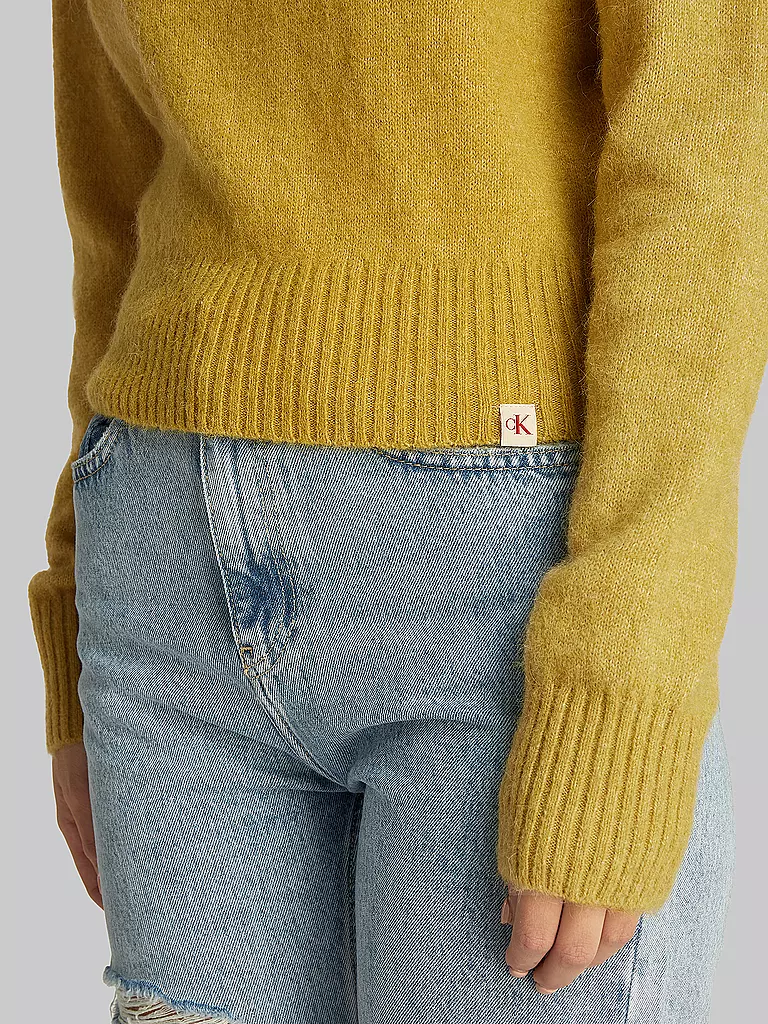 CALVIN KLEIN JEANS | Pullover | 