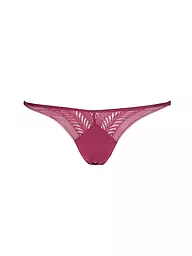CALVIN KLEIN | String purple | Bacca