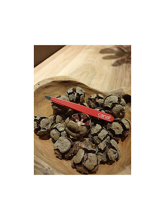 CANAL | Pinzetta per capelli inossidabile/obliqua 95 mm (Rosso) 2011