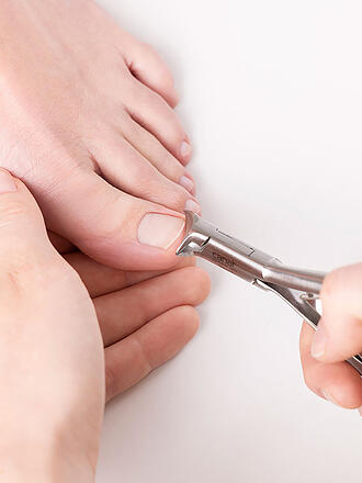 CANAL | Tronchese a due punte inossidabile 140 mm passante 3011-03