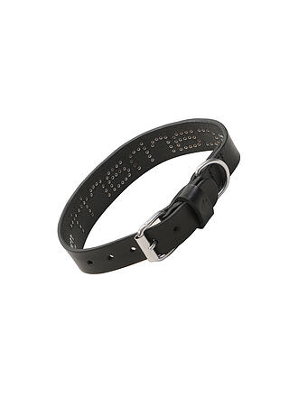 CARHARTT WIP | Collare per cani SCRIPT STUDS