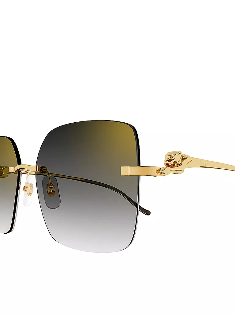 CARTIER | Occhiali da sole CT0359S | 