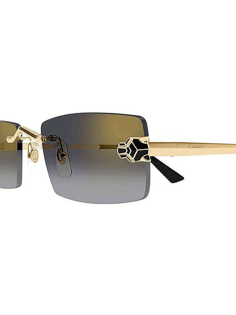 CARTIER | Occhiali da sole CT0598S |