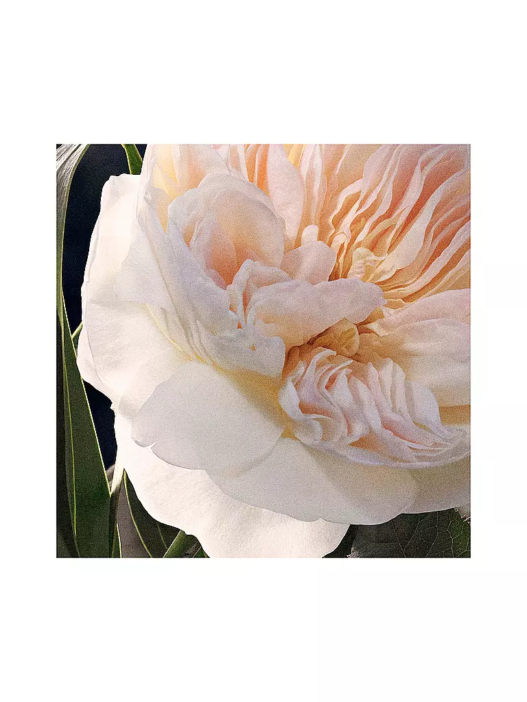 CHLOE | Chloé Eau de Parfum Spray Ricarica 150ml |