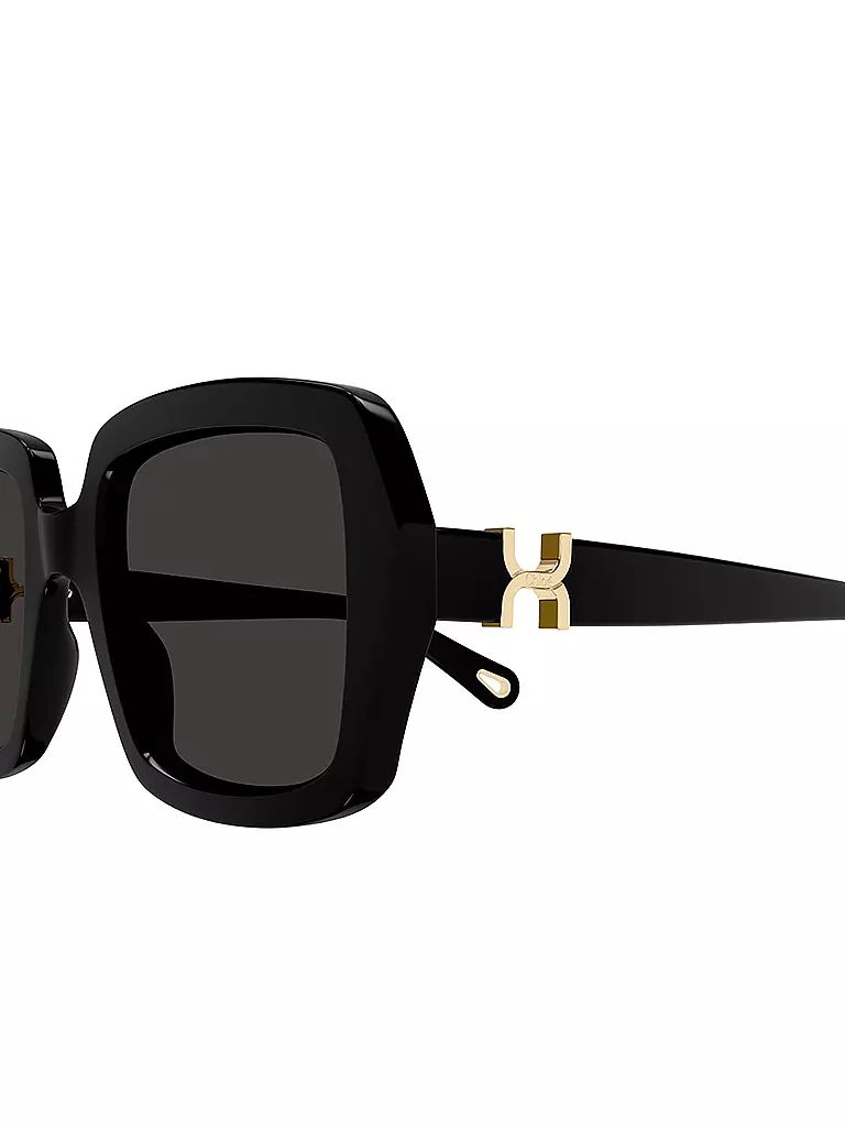 CHLOE | Occhiali da sole CH0301S | Nero