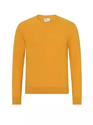COLORFUL STANDARD | Pullover | Giallo