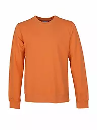 COLORFUL STANDARD | Sweater | Arancione