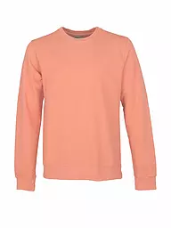 COLORFUL STANDARD | Sweater | Corallo