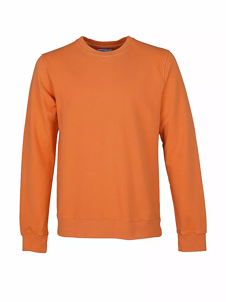 COLORFUL STANDARD | Sweater  | Arancione