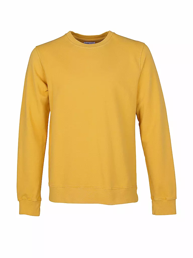COLORFUL STANDARD | Sweater  | Giallo