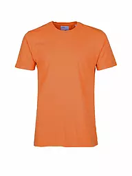 COLORFUL STANDARD | T-Shirt | Arancione