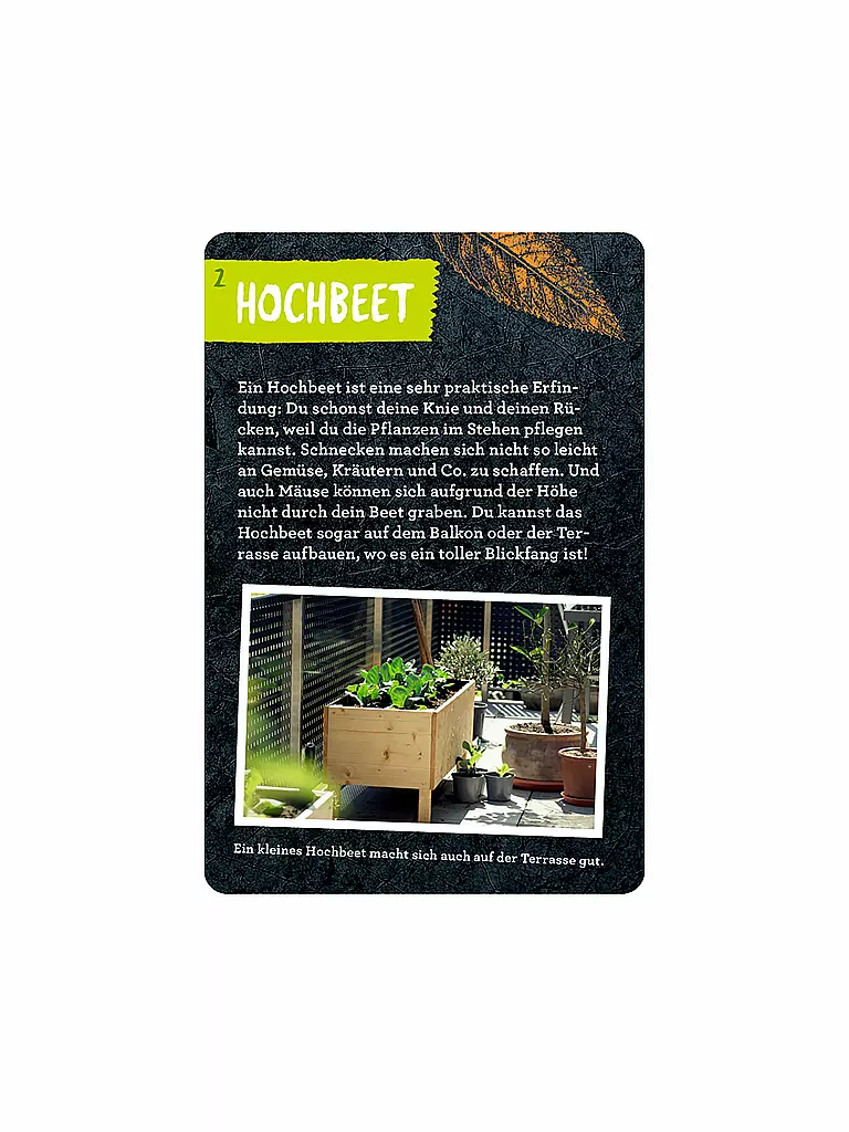COPPENRATH VERLAG | Libro - 50 progetti per il giardino, Stefanie Zysk | Senza colore