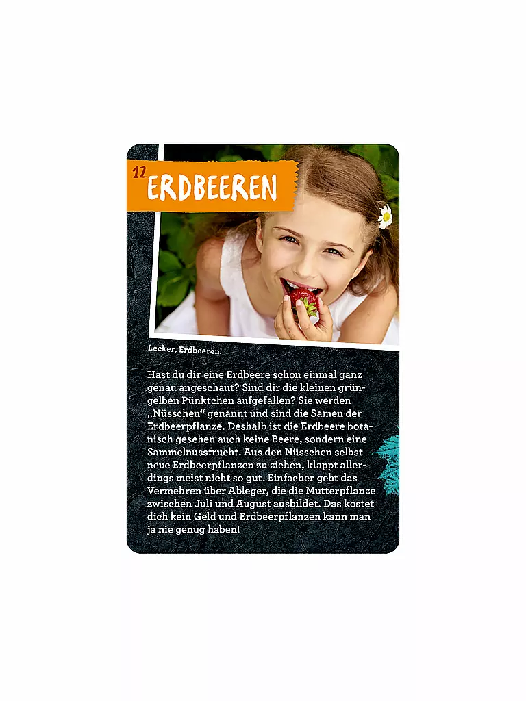 COPPENRATH VERLAG | Libro - 50 progetti per il giardino, Stefanie Zysk | 