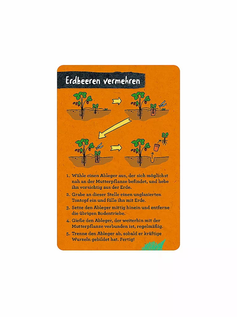 COPPENRATH VERLAG | Libro - 50 progetti per il giardino, Stefanie Zysk | 