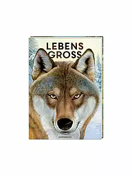COPPENRATH VERLAG | Libro - A grandezza naturale - Animali del bosco | Senza colore