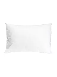 DAVID FUSSENEGGER | Imbottitura per cuscino 30x50 cm | Bianco