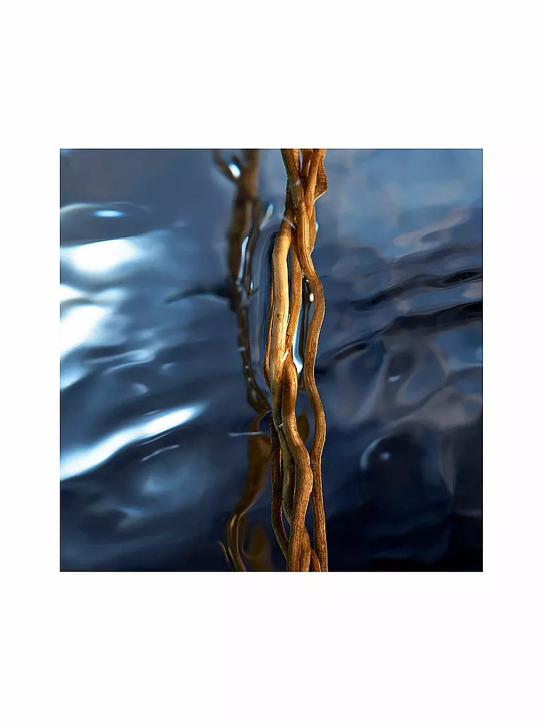 DAVIDOFF | Cool Water Reborn Man Eau de Toilette 75ml |
