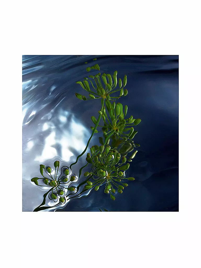DAVIDOFF | Cool Water Reborn Man Eau de Toilette 75ml |