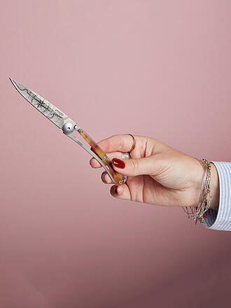 DEEJO | Coltello tascabile effetto tartaruga lucido TERRA INCGNITA 37G