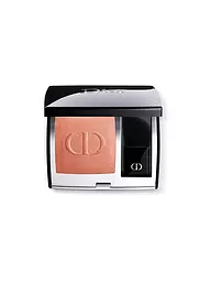 DIOR | Rouge Blush Satin (343 Panarea) | Cammello