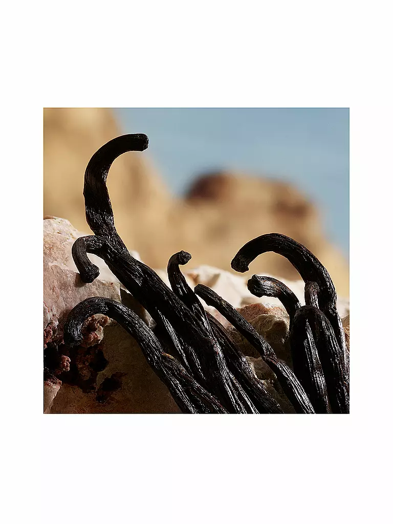 DOLCE&GABBANA | Q by Dolce&Gabbana Parfum 50ml | Senza colore