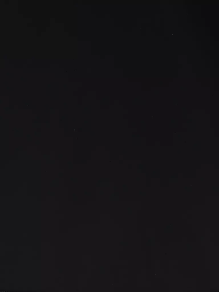 DORIS STREICH | Sweatshirt | Nero