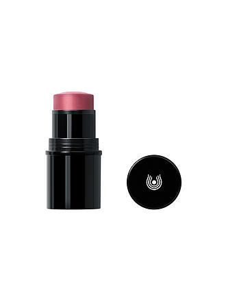 DR. HAUSCHKA | Lip to Cheek (03 Legno di Rosa)