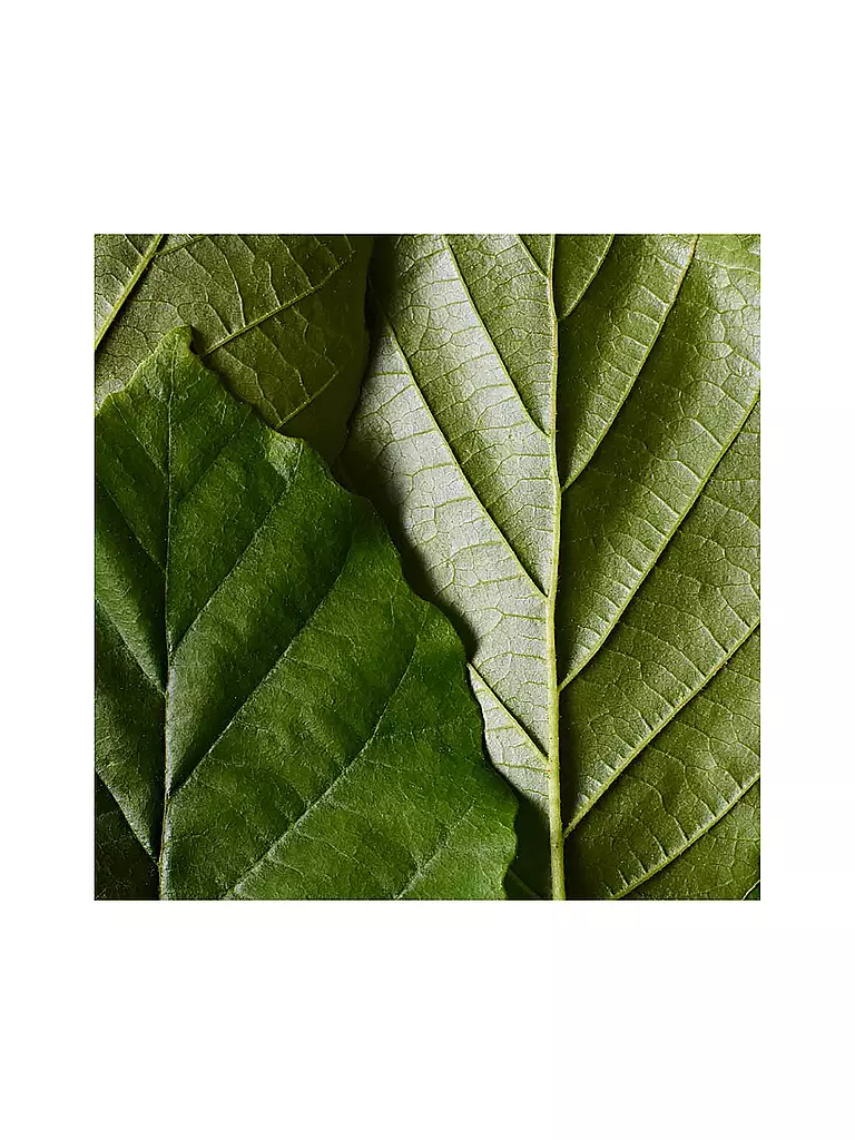 DR. HAUSCHKA | Highlighter - Fluido Illuminante | 