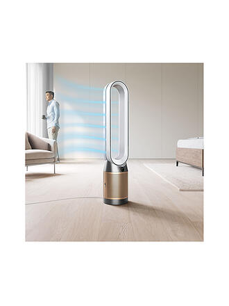 DYSON | dyson Purifier Cool PC2 Bianco/Oro