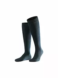 FALKE | Calze al ginocchio da uomo Family | Blu