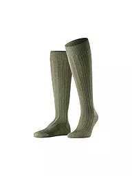 FALKE | Calze TEPPICH IM SCHUH verdi | Verde scuro