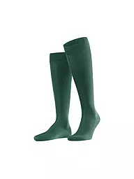 FALKE | Kniestrümpfe TIAGO black | Verde scuro