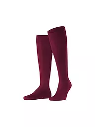 FALKE | Kniestrümpfe TIAGO black | Rosso scuro