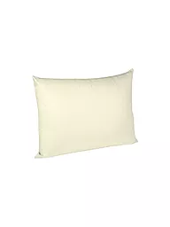 FLEURESSE | Federa per cuscino in jersey interlock 40x60 cm crema | Beige