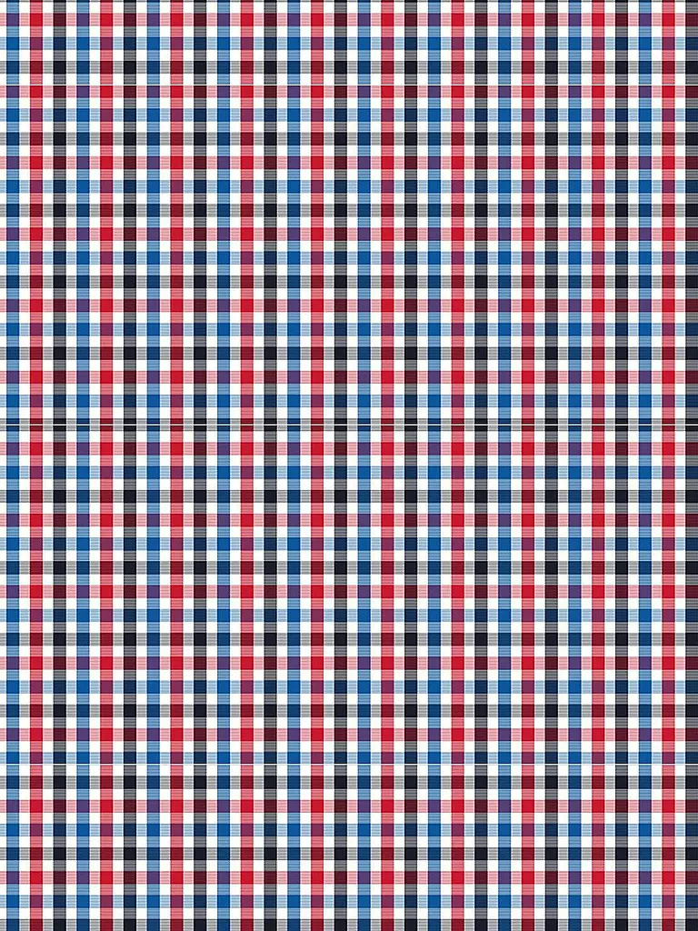FYNCH-HATTON | Camicia casual fit | Rosso
