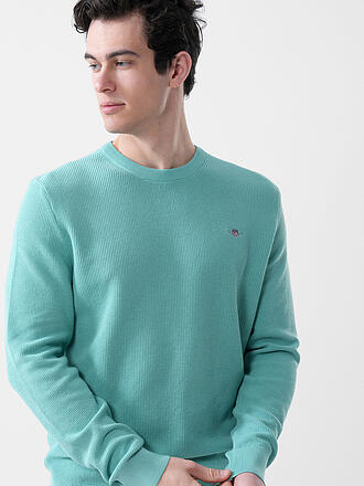 GANT | Pullover