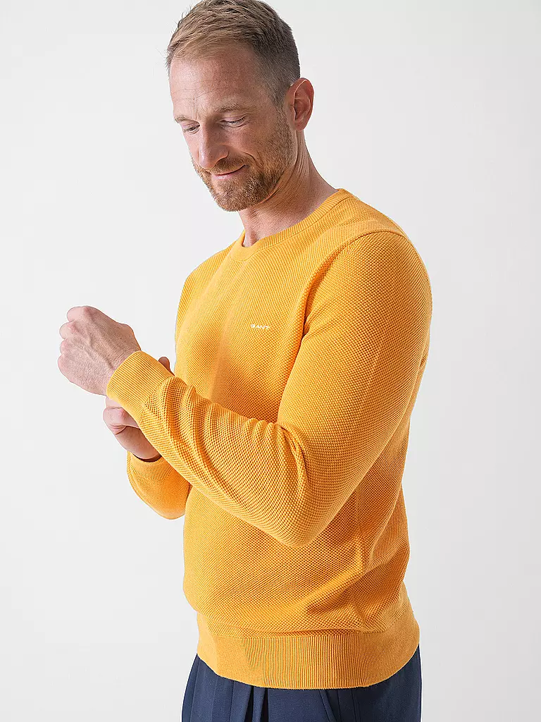 GANT | Pullover | 
