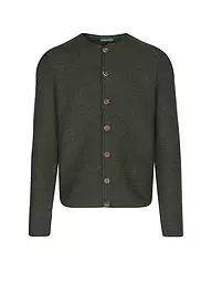 GOTTSEIDANK | Cardigan tradizionale ALOISIUS | Verde