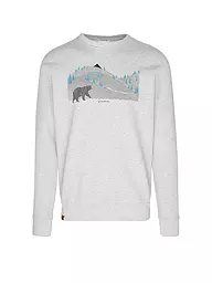 GREENBOMB | Sweater WILD ANIMAL BEARLAND | Grigio