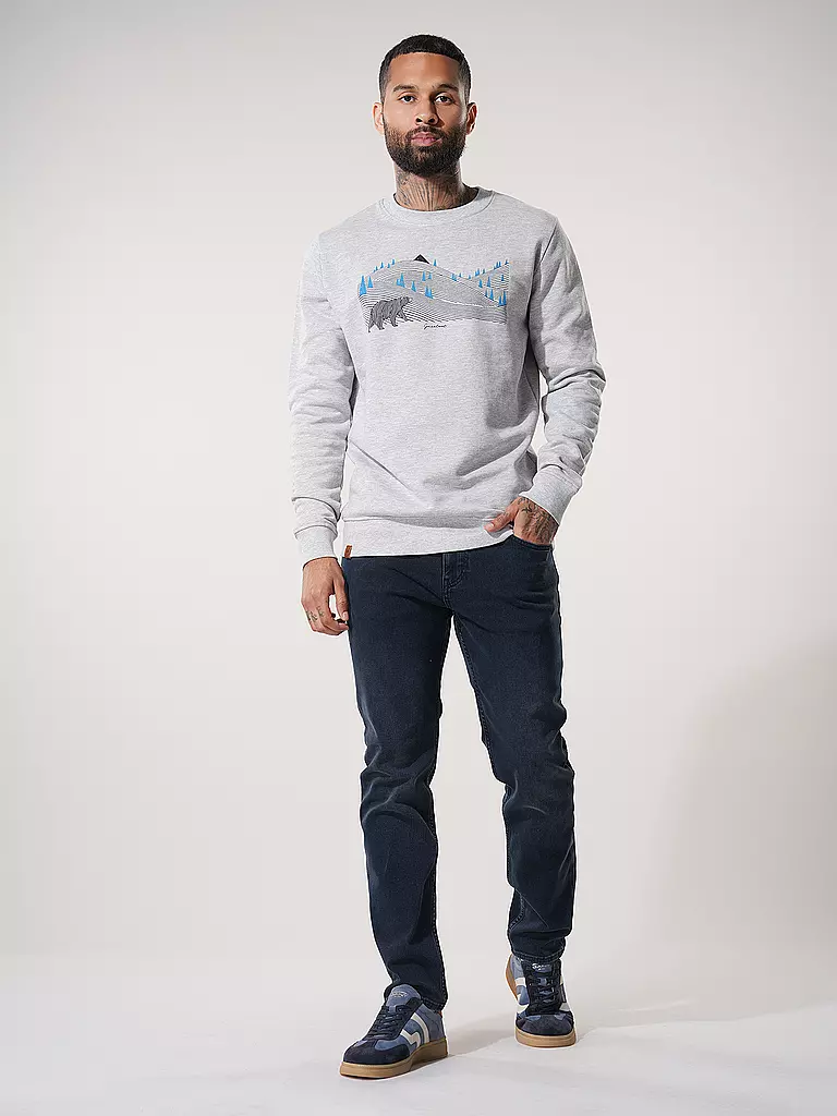 GREENBOMB | Sweater WILD ANIMAL BEARLAND | Grigio