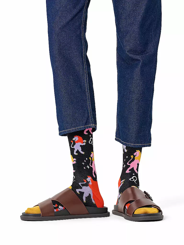 HAPPY SOCKS | Calzini da donna LEONE 36-40 neri | Nero