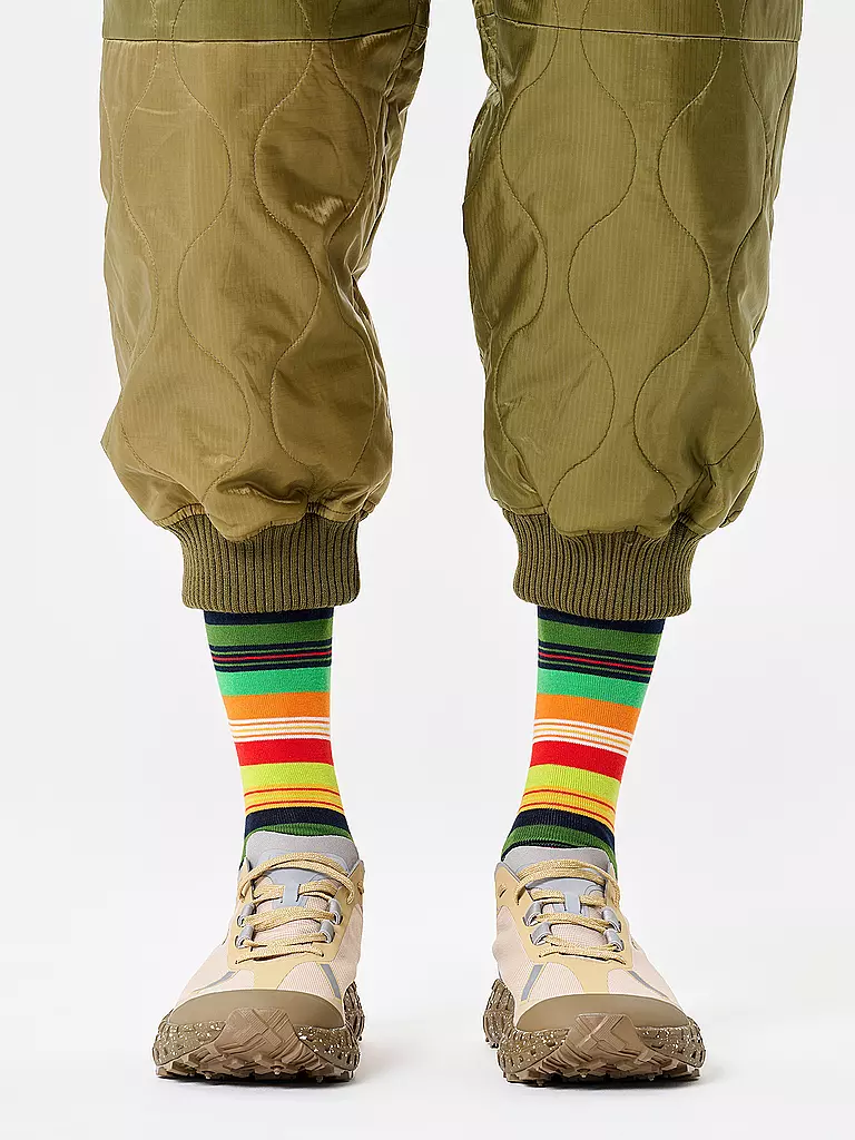 HAPPY SOCKS | Calzini da donna STRIPE 36-40 navy | Multicolore