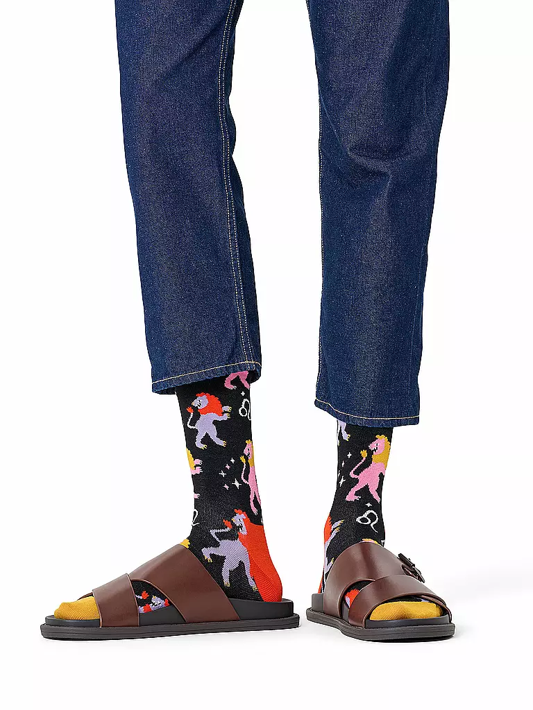 HAPPY SOCKS | Calzini da uomo LEONE 41-46 navy | Nero